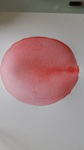 cours de dessin, cours de peinture, cours de pastel, dawn aurore,