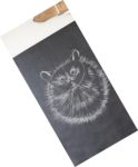 dessin poils de chat,cours de dessin,cours de pastels sec,cours d'aquarelle,dawnaurore,réussir dans la peinture,