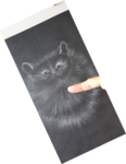 dessin poils de chat,cours de dessin,cours de pastels sec,cours d'aquarelle,dawnaurore,réussir dans la peinture,