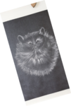 dessin poils de chat,cours de dessin,cours de pastels sec,cours d'aquarelle,dawnaurore,réussir dans la peinture,