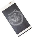 dessin poils de chat,cours de dessin,cours de pastels sec,cours d'aquarelle,dawnaurore,réussir dans la peinture,
