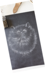 dessin poils de chat,cours de dessin,cours de pastels sec,cours d'aquarelle,dawnaurore,réussir dans la peinture,