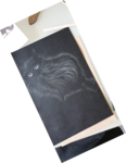 dessin poils de chat,cours de dessin,cours de pastels sec,cours d'aquarelle,dawnaurore,réussir dans la peinture,