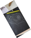 dessin poils de chat,cours de dessin,cours de pastels sec,cours d'aquarelle,dawnaurore,réussir dans la peinture,