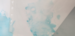 cours de peinture, cours de dessin,dessin oiseaux, dessin yeux, dessin oeil, dawn aurore,