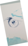 cours de peinture, cours de dessin,dessin oiseaux, dessin yeux, dessin oeil, dawn aurore,