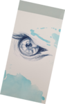 cours de peinture, cours de dessin,dessin oiseaux, dessin yeux, dessin oeil, dawn aurore,
