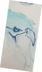 cours de peinture, cours de dessin,dessin oiseaux, dessin yeux, dessin oeil, dawn aurore,