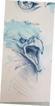 cours de peinture, cours de dessin,dessin oiseaux, dessin yeux, dessin oeil, dawn aurore,