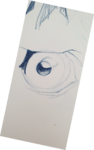 cours de peinture, cours de dessin,dessin oiseaux, dessin yeux, dessin oeil, dawn aurore,