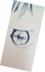 cours de peinture, cours de dessin,dessin oiseaux, dessin yeux, dessin oeil, dawn aurore,