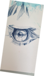 cours de peinture, cours de dessin,dessin oiseaux, dessin yeux, dessin oeil, dawn aurore,