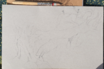 dessin arbre,dessin écorce,dessin textures,dessin matières,cours de dessin,reussirdanslapeinture,réussir dans la peinture,dawn aurore,