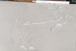 dessin arbre,dessin écorce,dessin textures,dessin matières,cours de dessin,reussirdanslapeinture,réussir dans la peinture,dawn aurore,