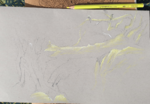 dessin arbre,dessin écorce,dessin textures,dessin matières,cours de dessin,reussirdanslapeinture,réussir dans la peinture,dawn aurore,