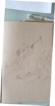 dessin arbre,dessin écorce,dessin textures,dessin matières,cours de dessin,reussirdanslapeinture,réussir dans la peinture,dawn aurore,