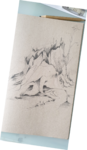 dessin arbre,dessin écorce,dessin textures,dessin matières,cours de dessin,reussirdanslapeinture,réussir dans la peinture,dawn aurore,
