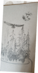 coloriage, mise en couleur, papillon dessin, dessin arbre,dessin écorce,dessin textures,dessin matières,cours de dessin,reussirdanslapeinture,réussir dans la peinture,dawn aurore,