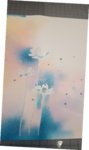 peinture aquarelle, dessin, cours de dessin,dessin fleurs,